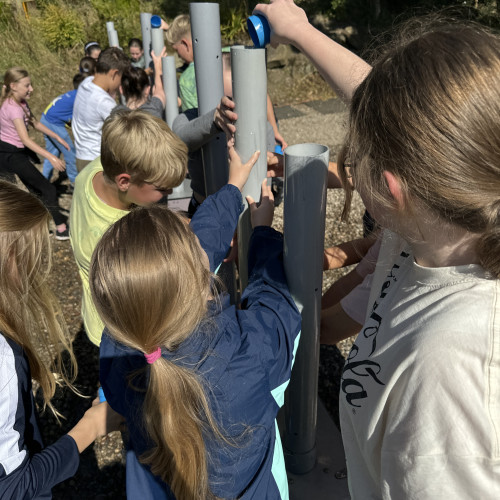 20240917_114716000_iOS