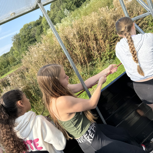 20240919_104018000_iOS